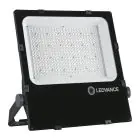Ledvance LED Floodlight Performance Black 290W 38500lm 55x110D - 840 Cool White | IP66 - Asymmetrical